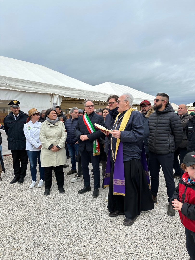 Cortona, Fratticciola capitale della Chianina con la 70^ Mostra del Vitellone