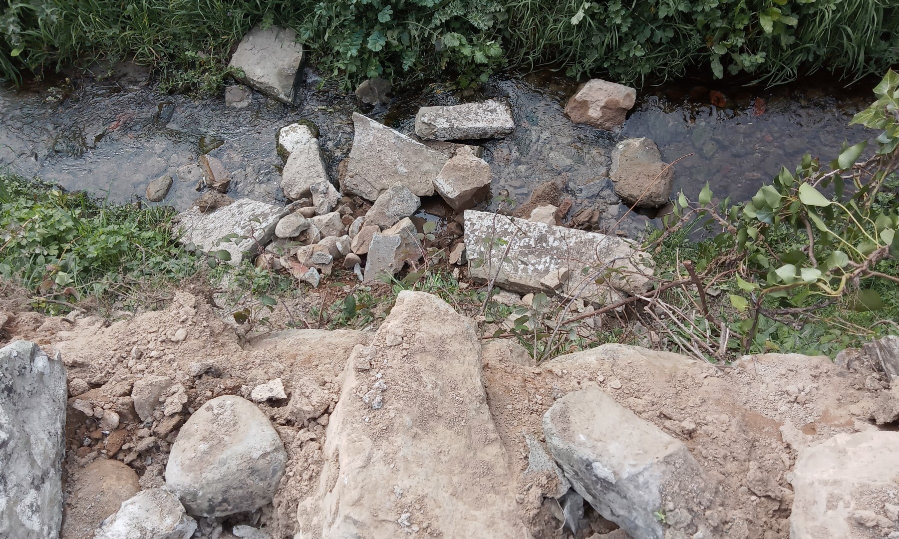 Rovinato ancora una volta!