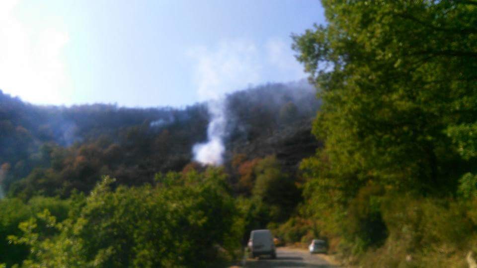 Incendio nei boschi tra Teverina e Falzano di Cortona