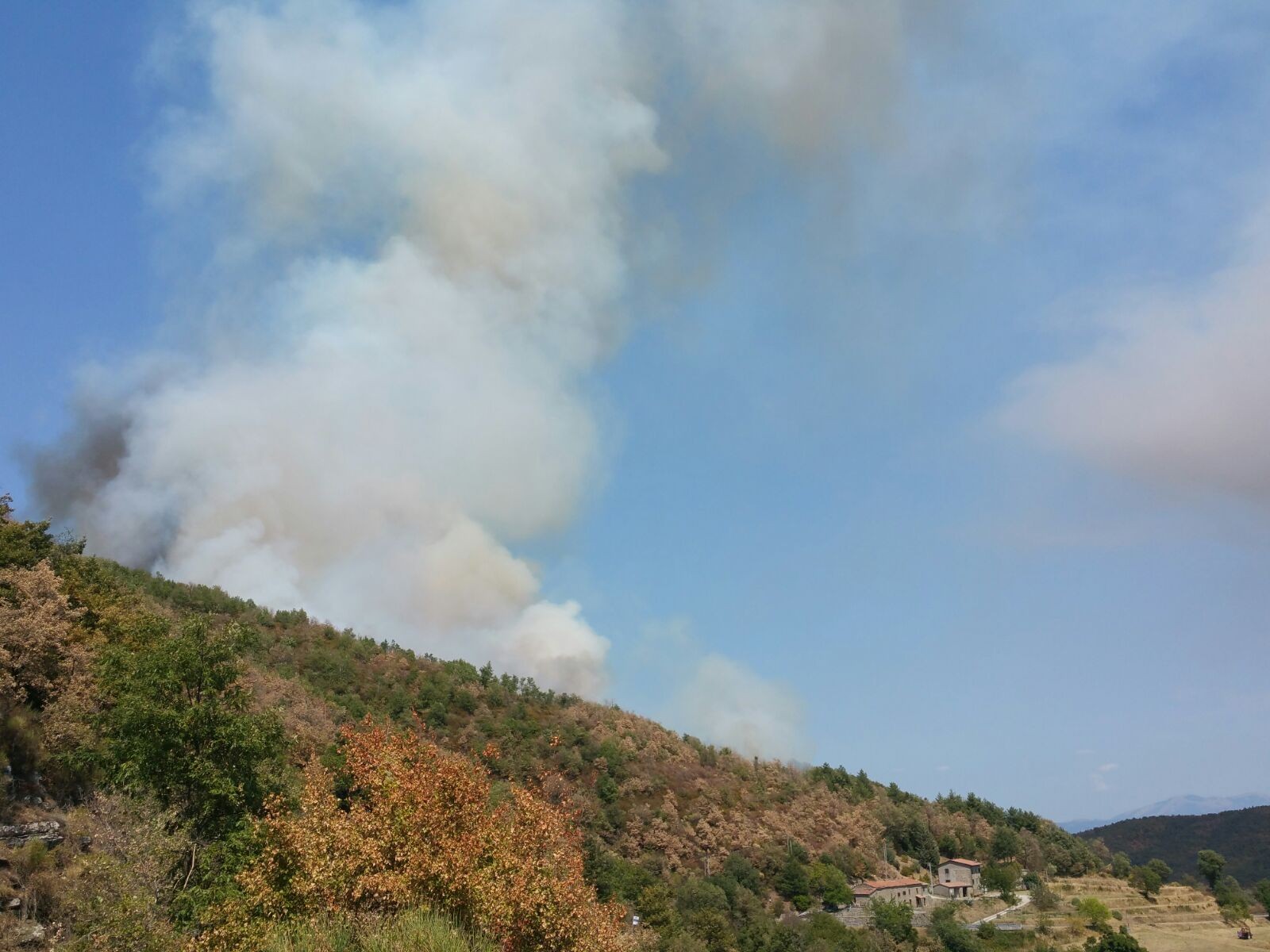 Incendio nei boschi tra Teverina e Falzano di Cortona