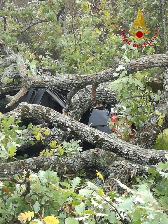 Grosso albero cade sopra ad un'auto, donna resta incastrata