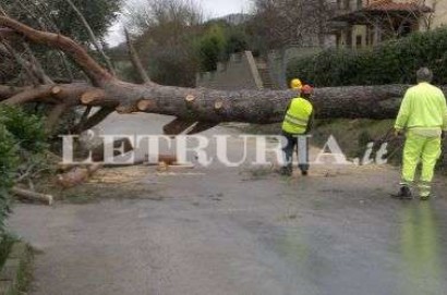Vento forte: 4 milioni di euro la stima dei danni al patrimonio pubblico in provincia di Arezzo