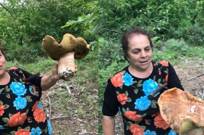 E' di nonna Giuseppina il fungo gigante della primavera 2022