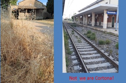We are Cortona?