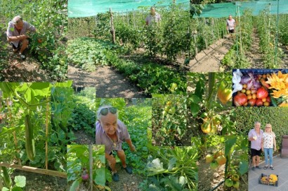 Orti cortonesi delle meraviglie: visita a quello “nascosto” del terontolese  Giuliano
