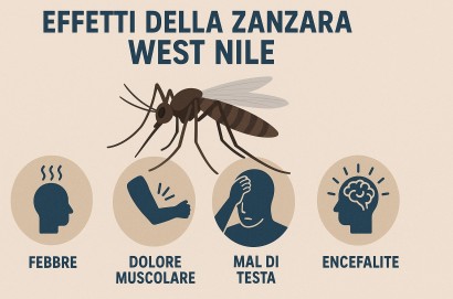 West Nile Virus, casi in aumento come previsto: sorveglianza costante sul territorio