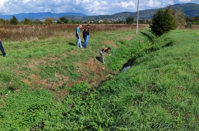 West Nile: il CB2 fa squadra con comuni, asl toscana sud est e istituto zooprofilattico per contenere la diffusione del virus in Valdichiana aretina