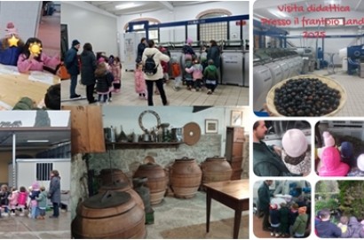 La visita dei bambini della Primaria di Camucia al Frantoio del Landi