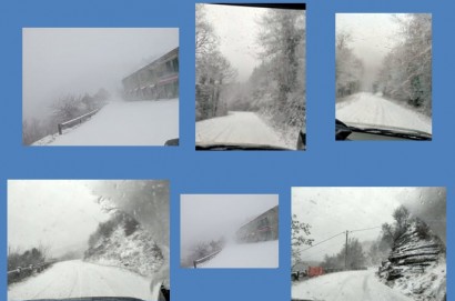 " Insalare " la provinciale Cortona - Città di Castello