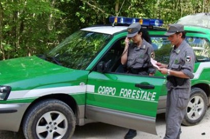 Operai forestali, stipendi a rischio