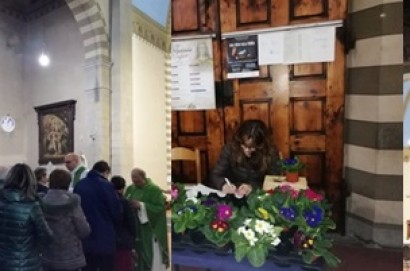 Una primula per la vita