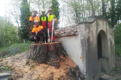 Sicurezza ripristinata sulla Sp 35 a Cortona- Eliminata la pianta che minacciava strada e corso d’acqua