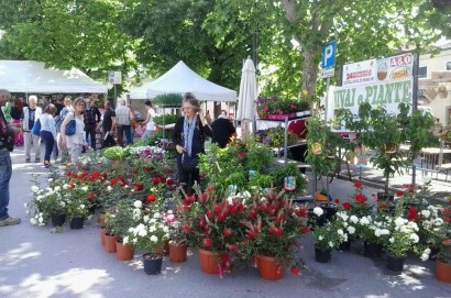 Camucia in fiera: domenica 19 maggio