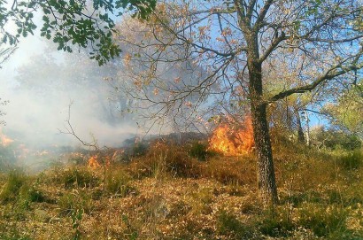 Incendi boschivi, prorogato al 15 settembre il divieto di fare fuochi