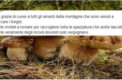 I boschi di Teverina violentati dai cercatori di funghi