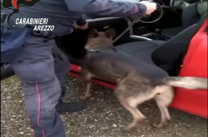 Operazione Last Call dei Carabinieri di Arezzo e Cortona: 5 arresti e 7 denunce per droga