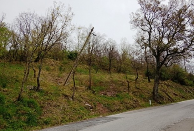 Un palo Tim pericolosamente inclinato sulla strada