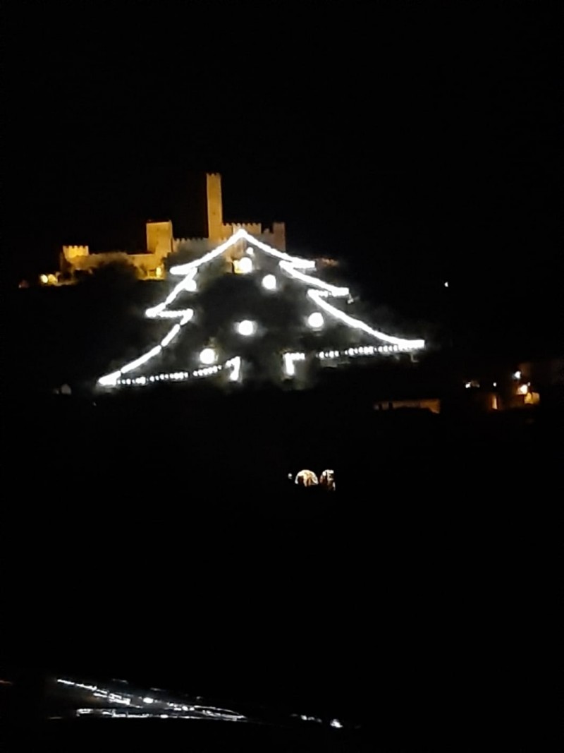 Montecchio si veste a festa:  si è acceso l'albero di Natale più grande della Toscana