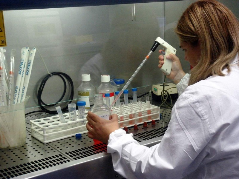 Coronavirus Toscana aggiornamento 2 gennaio 2020: 498 nuovi casi, 20 decessi