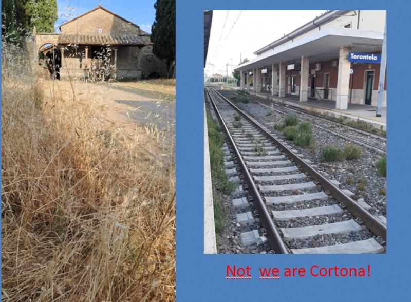 We are Cortona?