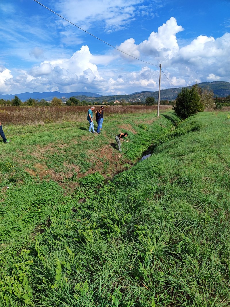 West Nile: il CB2 fa squadra con comuni, asl toscana sud est e istituto zooprofilattico per contenere la diffusione del virus in Valdichiana aretina