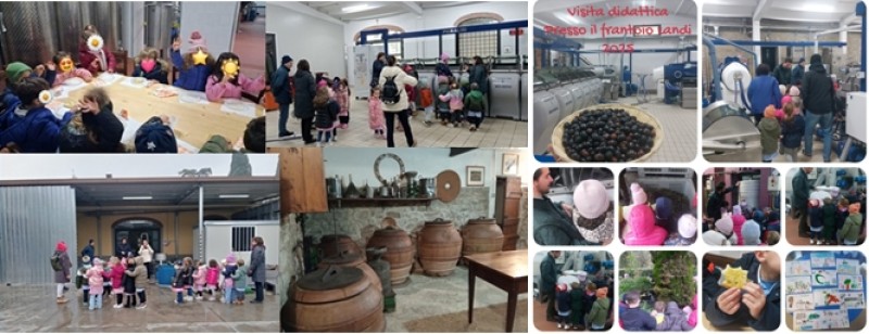La visita dei bambini della Primaria di Camucia al Frantoio del Landi