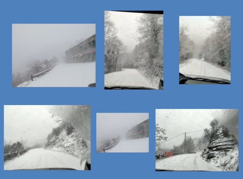 " Insalare " la provinciale Cortona - Città di Castello