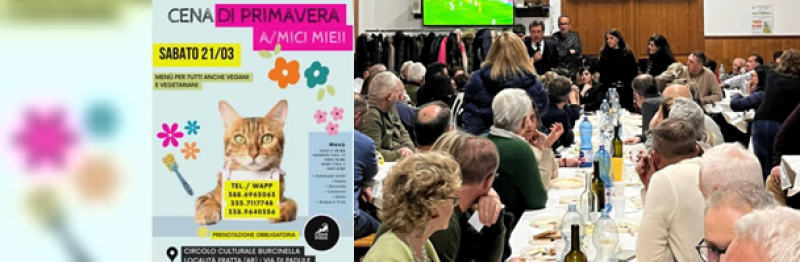 Successo della Cena di Primavera per gli amici gatti