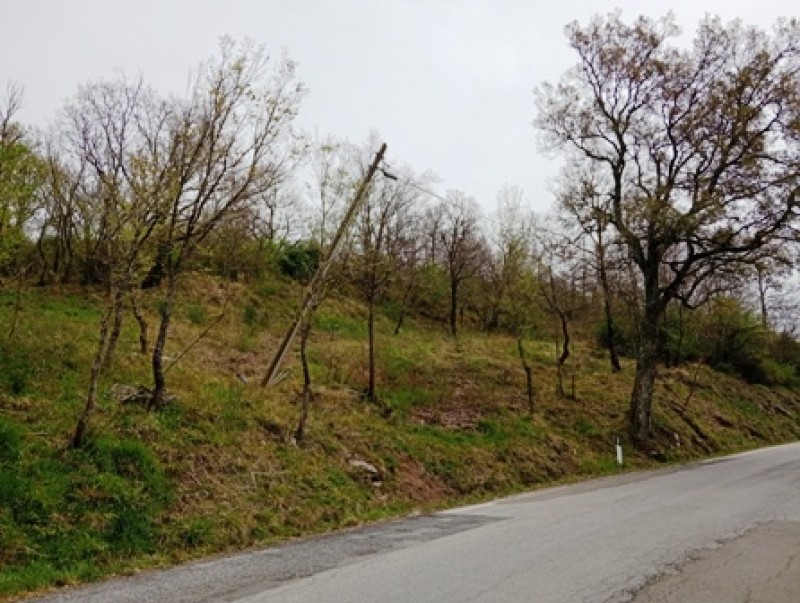 Un palo Tim pericolosamente inclinato sulla strada
