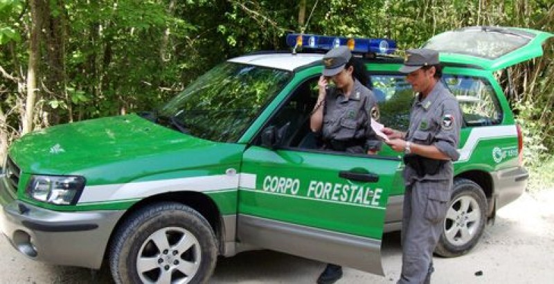 Operai forestali, stipendi a rischio