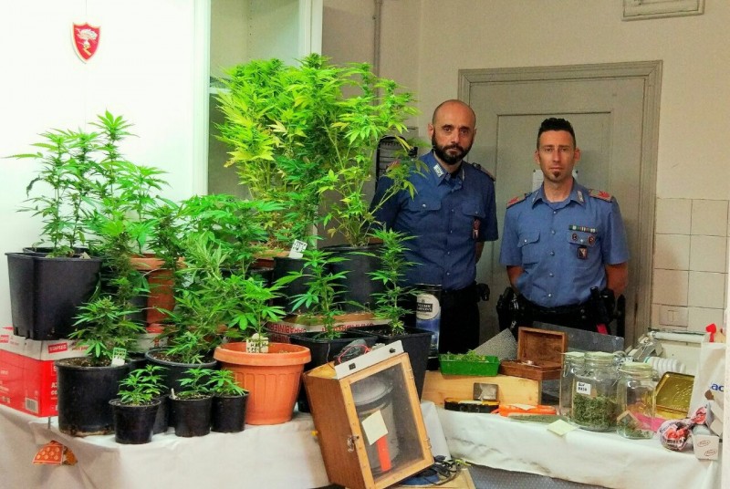 Arrestati padre e figlia : avevano una piantagione di Marijuana in casa