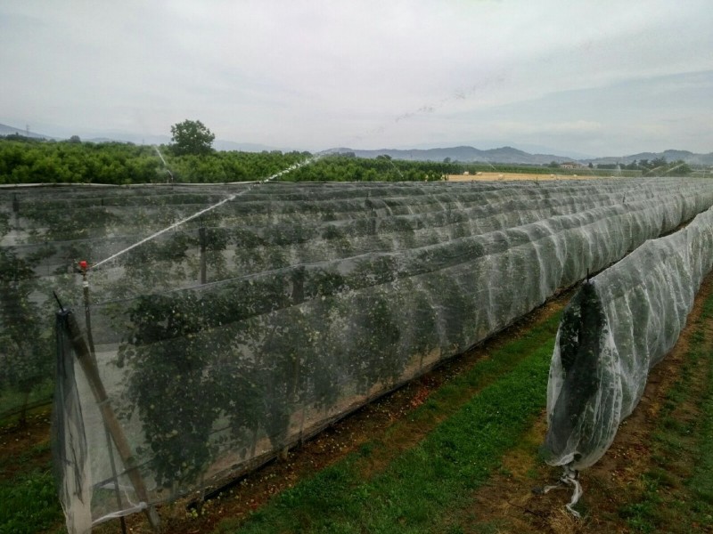 Agricoltura a secco, acqua di Montedoglio per scongiurare la siccità