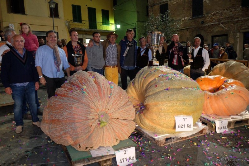 Pesa la zucca: in Toscana la battaglia delle zucche giganti