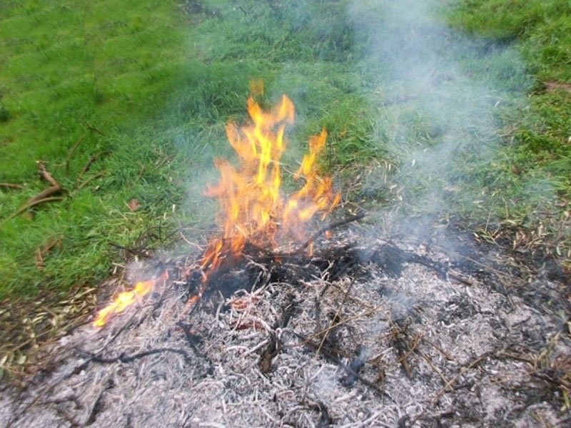 Incendi, scatta il divieto assoluto di dar fuoco ai residui vegetali. Segnalazioni al Numero verde 800.425.425