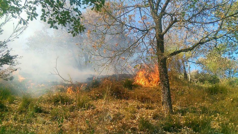Incendi boschivi, prorogato al 15 settembre il divieto di fare fuochi